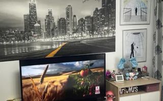 2 CAMERE - DECOMANDAT - MOBILAT SI UTILAT - TOMESTI - Poză 2