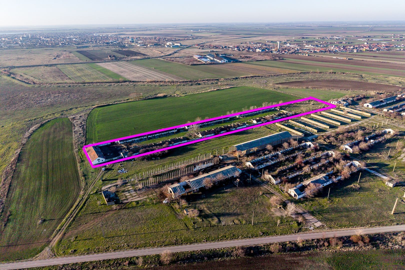 NĂDLAC | Teren 1.15 HA lângă Autostradă | 2.500mp Hale - Poză 3