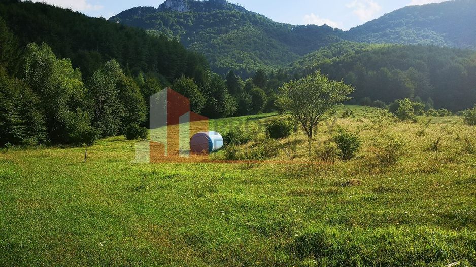 Teren Bran Tohanita | Intravilan 1.379 mp | Vedere Panoramică| - Poză 20