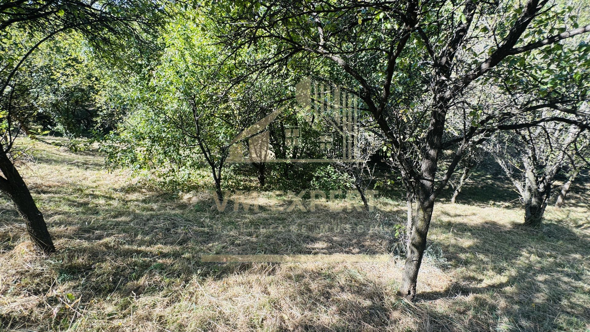 TEREN INTRAVILAN 3234 MP LEREȘTI VOINEȘTI ARGEȘ - Poză 25