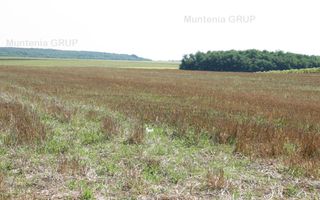 Belciugatele - laga Complexul Turistic Valea Iazurilor, 19720 mp. cu deschidere la balta - Poză 9