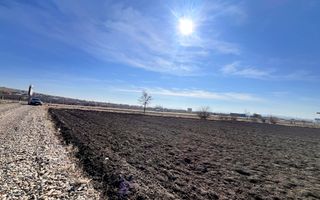 Vanzare I Teren I Suceava/Stroiesti I 100 ARI 2999 Euro/Ar - Poză 3