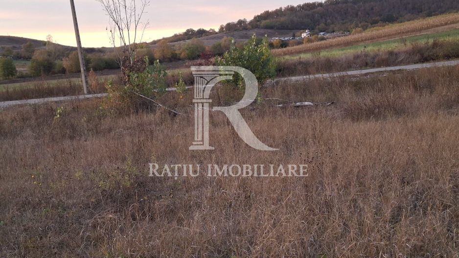 Teren extravilan | 3400 mp  | Hidiselul de Sus | Oradea | Bihor - Poză 2