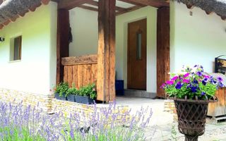 Casa traditionala de vis, aproape de Cluj-Napoca - Poză 21