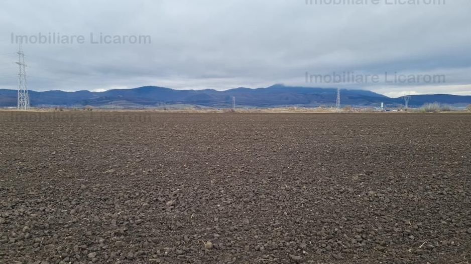 Teren Agricol 2,9 HA,intre Cristian si Vulcan/teren SPORT - Poză 3