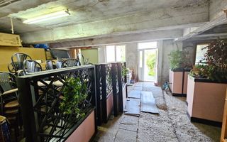 Proprietate cu potențial mixt – locuință și spațiu de lucru în Partoș - Poză 19