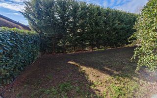 Vila S+P+M cu teren generos Dumbravita - Poză 33