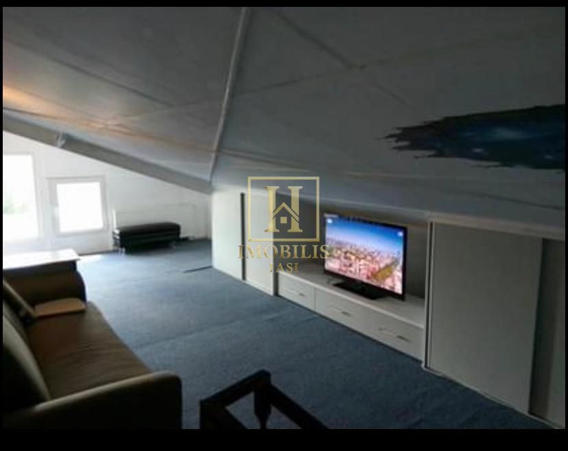 Apartament 1 camera Dec + mansarda 50 mp Nicolina Lidl 380 euro - Poză 7