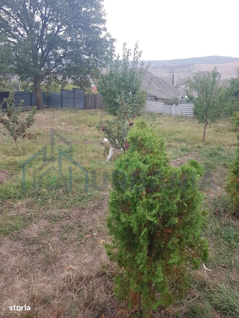 Teren intravilan de vânzare - 6200mp, pădure în apropiere - Poză 5