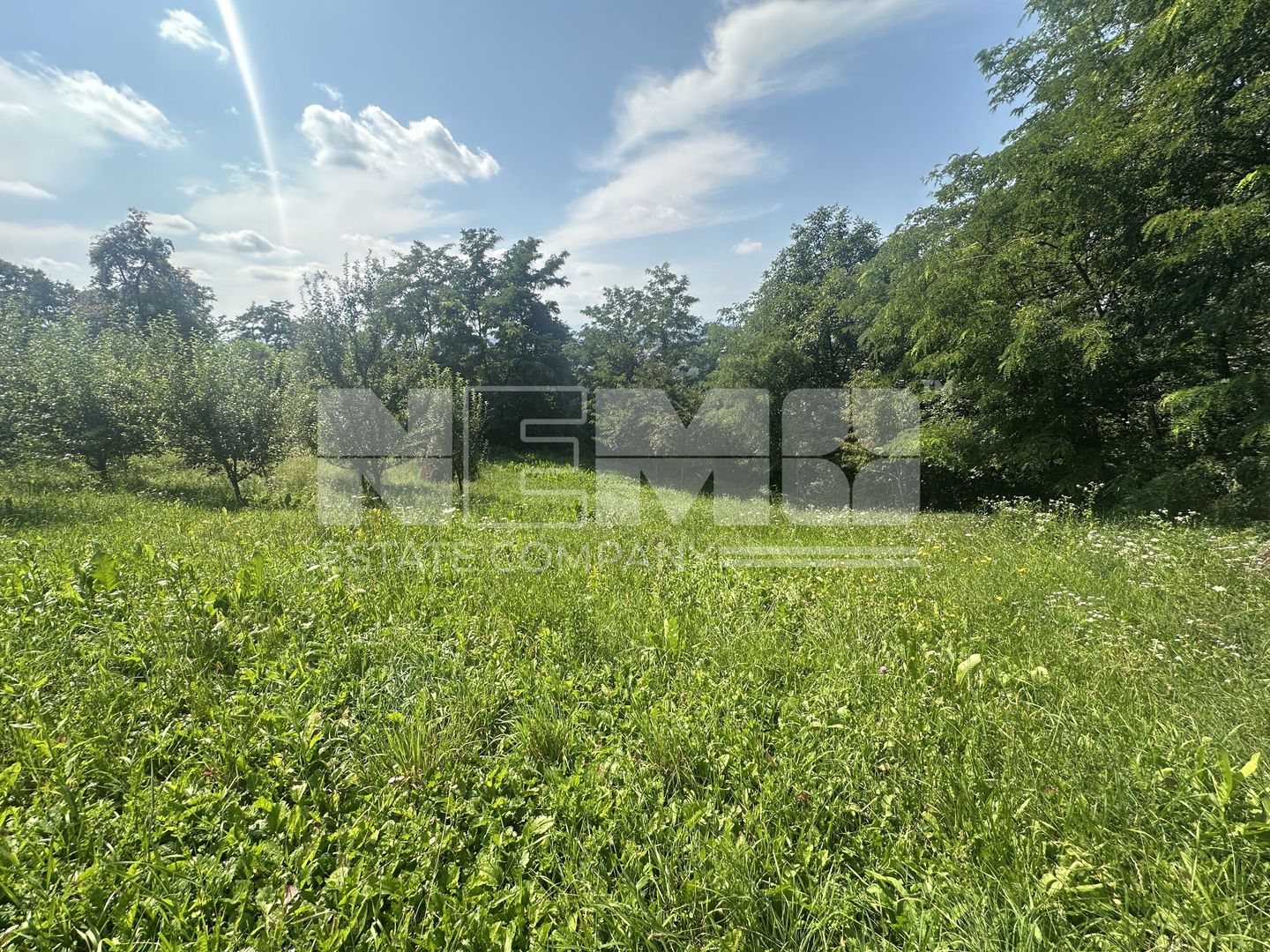 Teren Darmanesti | 41 Ari | 26.500EURO - Poză 5