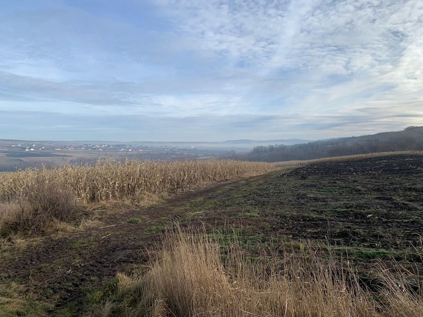 Teren intravilan de vânzare | Cajvana | 7.800 mp - Poză 6