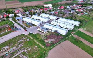 COMISION 0% - HALE Calinesti Arges - Poză 74