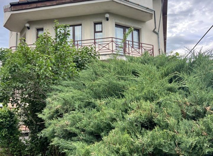 Acasă la Bascov- Județ Arges cu peisaj de poveste - Poză 27