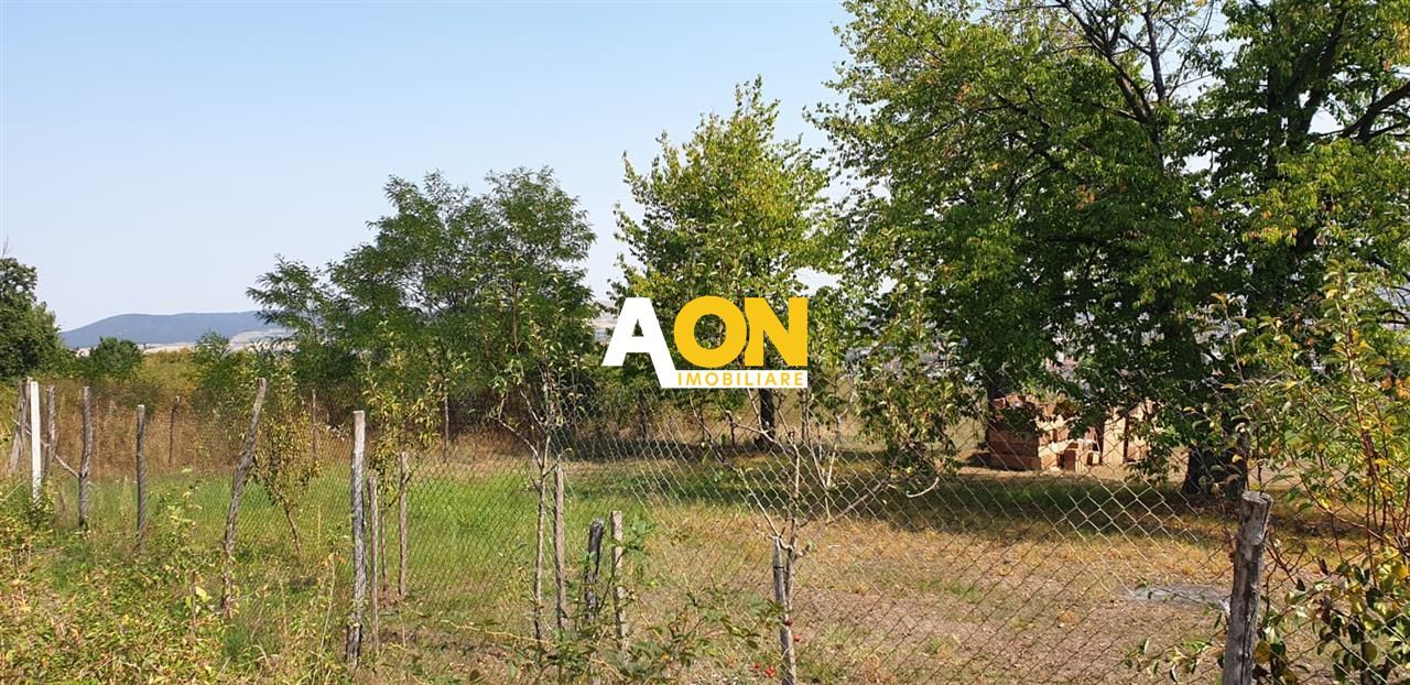 Teren intravilan de Vanzare,  Zona Platou-Cetate, 700MP - Poză 2