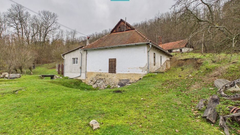 Casă cu teren de 24.679,73 mp, în Hălmagiu, Arad - Poză 9