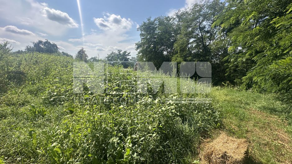 Teren Darmanesti | 41 Ari | 26.500EURO - Poză 6