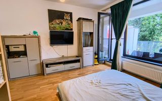 Iancu Nicolae- Gradina Zoologica- Jolie Ville- Loc parcare - Poză 3