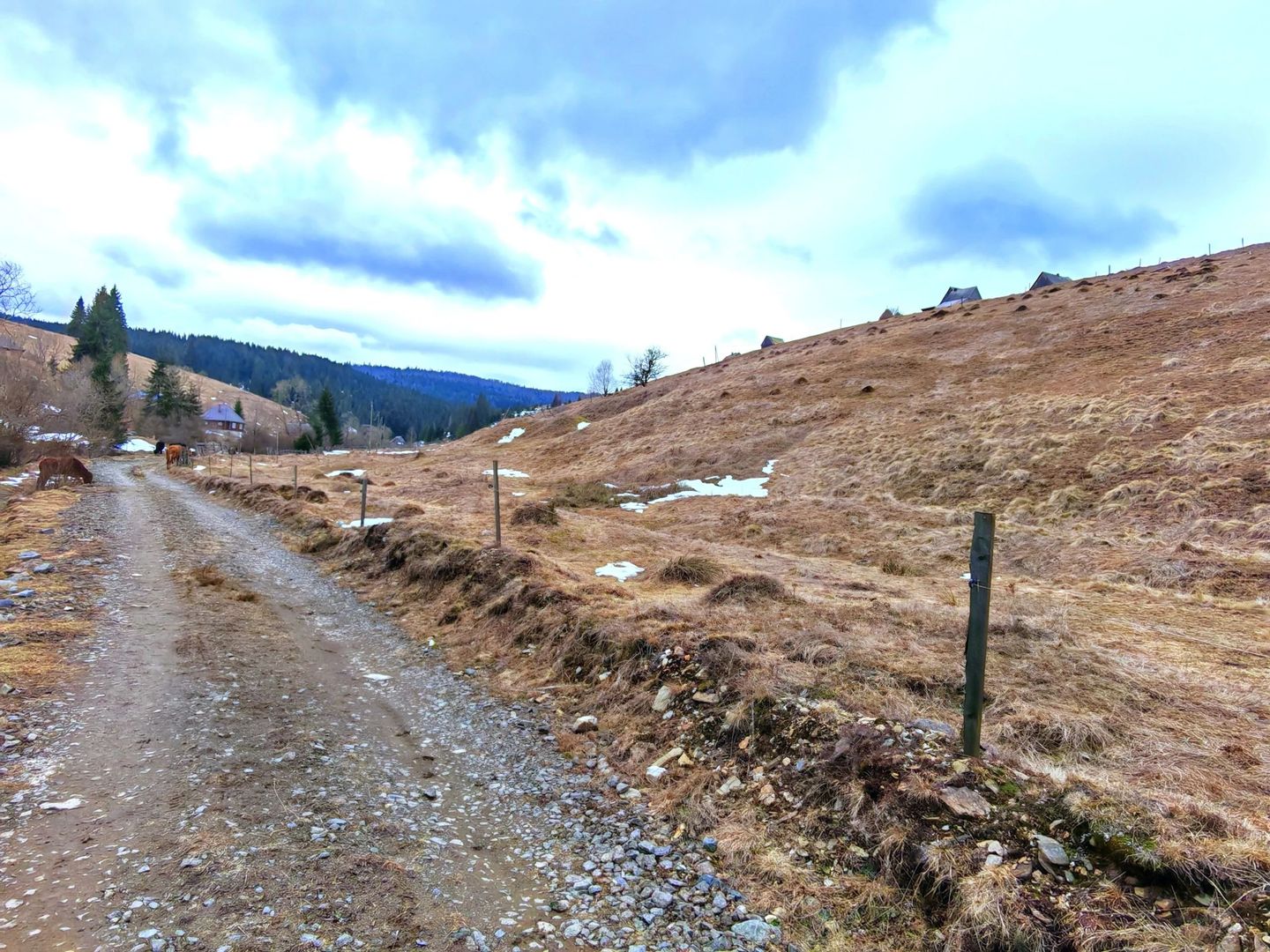 8.263 mp Teren cu Pârâu și Izvoare în Beliș-Fântânele, Cluj - Poză 3