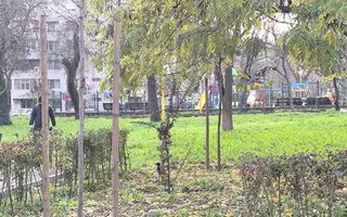 CENTRU COLONADELOR(cod03) - 2 Camere luminoase ! - Poză 17