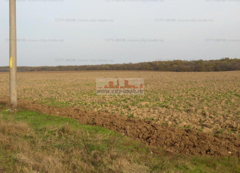 Vanzare Teren - intravilan - Snagov - Poză 3