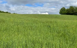 Teren intravilan 631 mp cu utilitati-ideal casa-Sigmir - Poză 1