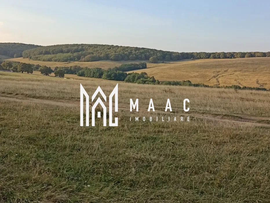 Teren de 1000 mp | Cabana | Zona Cristian - Poză 1