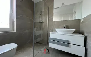 Vila superba Dumbravita - Poză 17