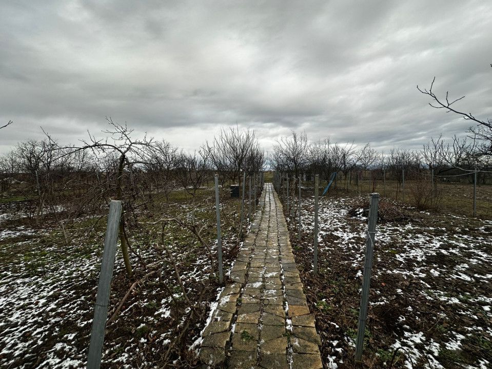 Casa cu teren de 1500 mp, in pitorescul sat Alunis - potrivita pentru duplex - Poză 15