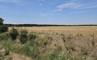 Vanzare Teren Intravilan Buftea, 750mp, str. Ulmului, Pista Biciclete - Poză 3