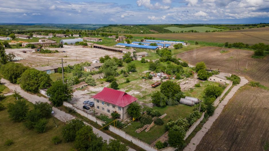 Vânzare,teren pentru construcție,1,18 ha, satul Maximovca, Anenii Noi - Poză 7