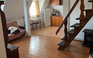 Apartament 2 camere | Pretabil investitie | Vasile Aaron - Poză 1