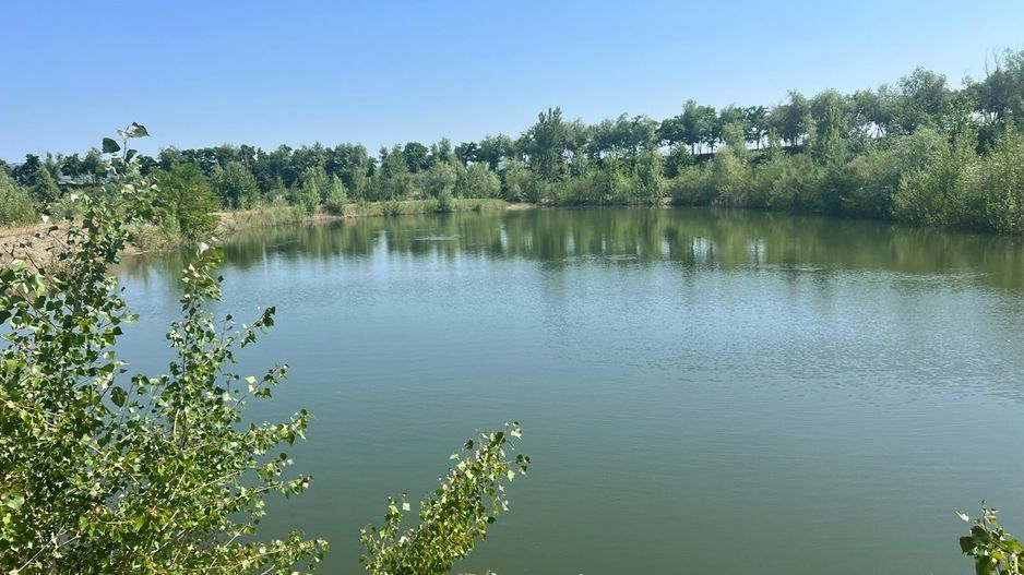 Iaz Piscicol Bacau Saucesti - Poză 6