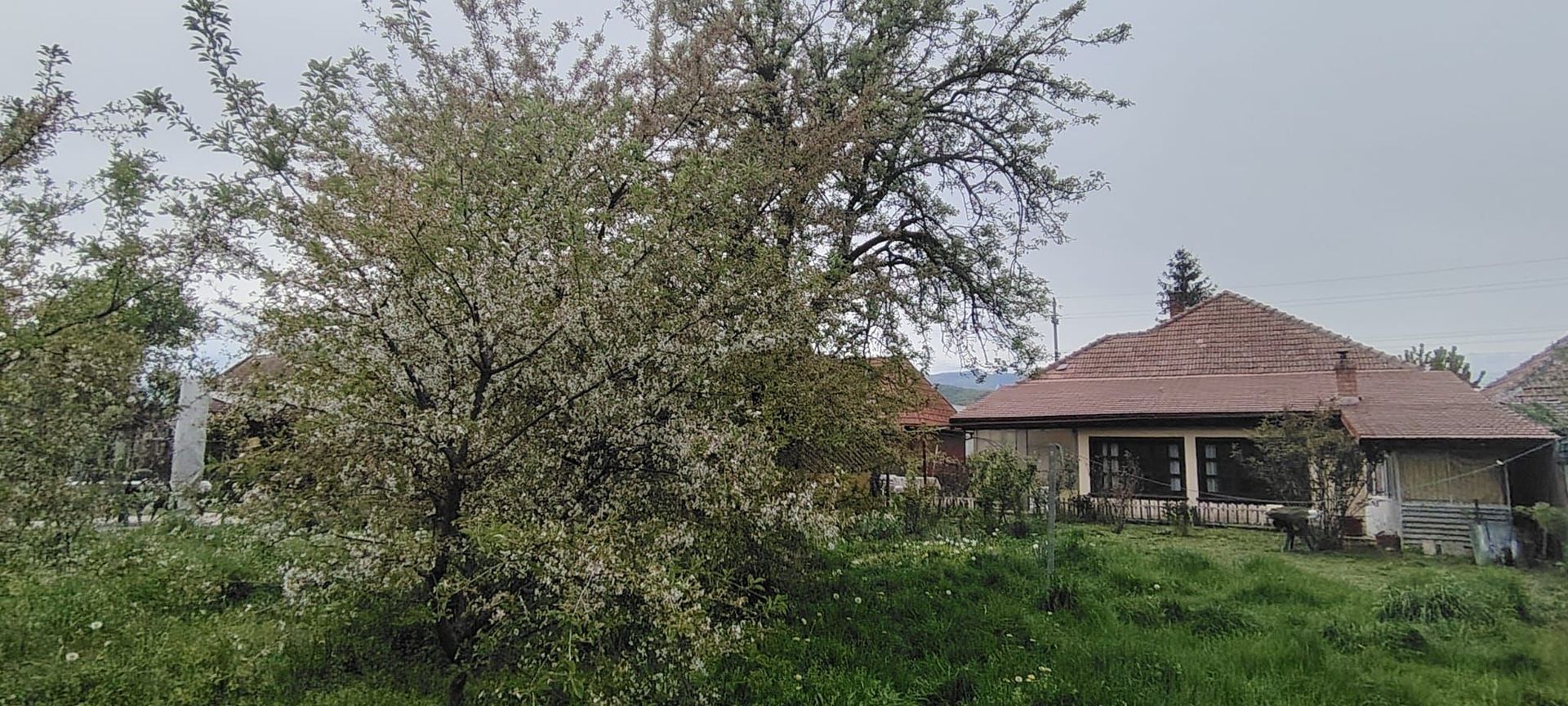 DE VANZARE CASA 5CAMERE ZONA CENTRALA TALMACIU - Poză 40