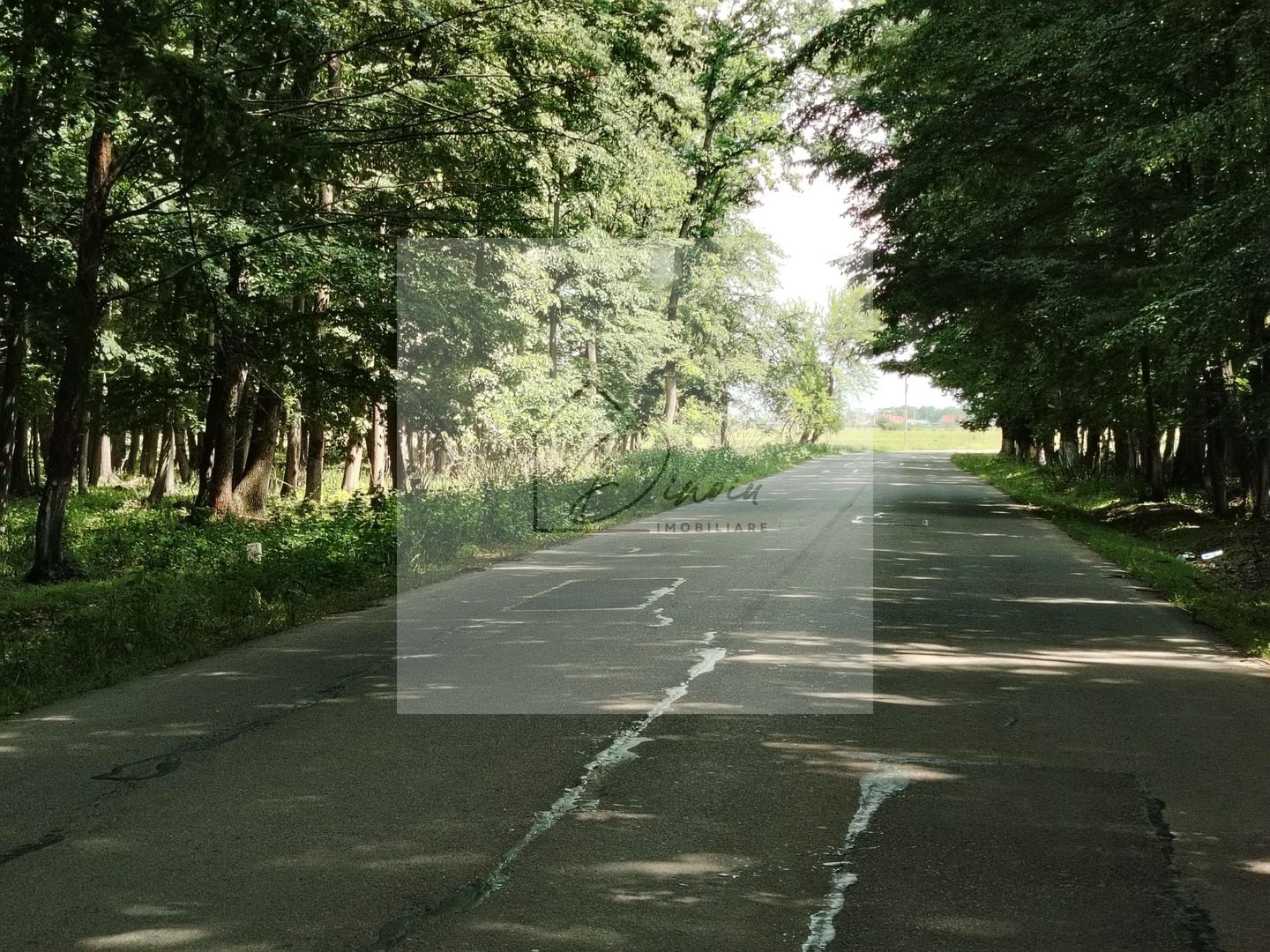 Casa Ciocanesti Cretu - 2 camere cu teren 2539 mp  - Jud. Dambovita - Poză 51