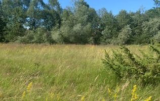 Teren in zona turistica Porumbacu de Sus