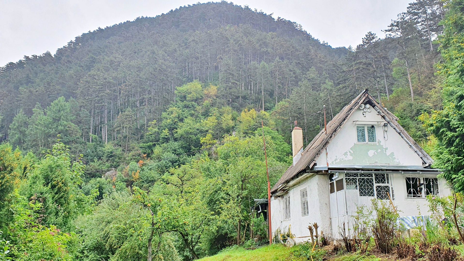 Schei gradina +casa de vacanta,  intre case,front pe trei parti - Poză 1