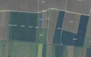 COMISION 0% Terenuri agricole 10.750mp si 700mp| Recas - Poză 3