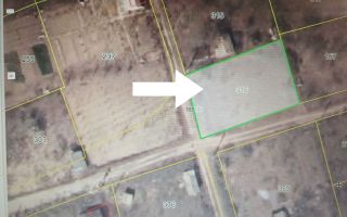 Lot-pomicol 5,9 ari - Cobusca Nouă, Anenii Noi - Poză 1