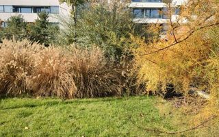 Apartament 3 camere Sos Chitilei Complex Atria - COMISION 0% - Poză 11