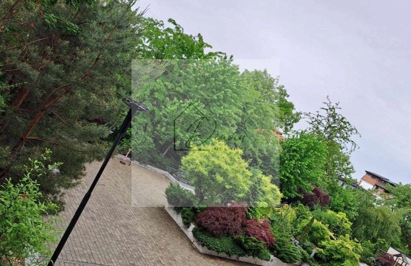 Studio Premium Erou Iancu Nicolae Pipera - Poză 10