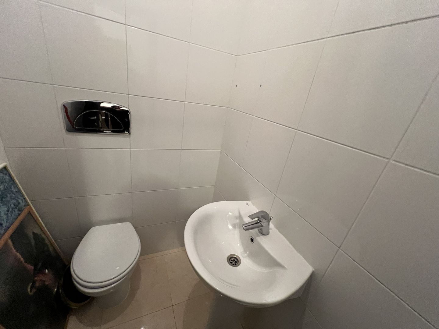 Un refugiu luminos în inima verde a Iancu Nicolae - Poză 6