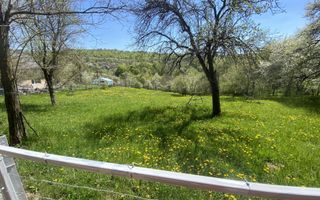 TEREN INTRAVILAN 3265 MP, VALEA MARE PRAVAT, ARGES - Poză 2