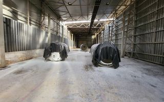 Hale depozit-productie industriala la 20 km de TM - Poză 15