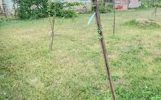 Casa demolabila/renovabila cu proiect in Jucu de Sus - Poză 25