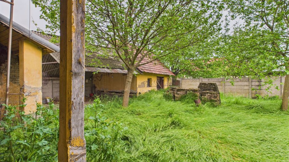 Casă de reabilitat pe teren generos- Comuna Variaș - Poză 5