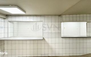 Spatiu pentru activitati comerciale I Laborator - Spatiu productie - Poză 2