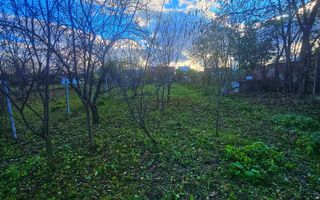 Exclusivitate! Casă cu teren generos în Sat Olteni, Com.Teișani - Poză 13