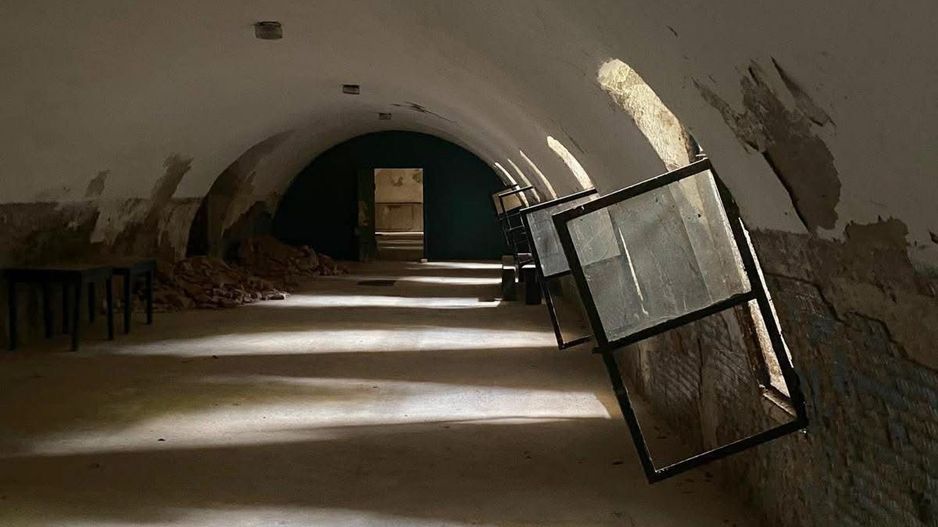 Conac nobiliar de secol XIX cu 8 camere în Maciova - Poză 35