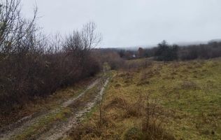 Teren 1000 mp-ideal casa de vacanta, investitie-Zona Valea Budacului