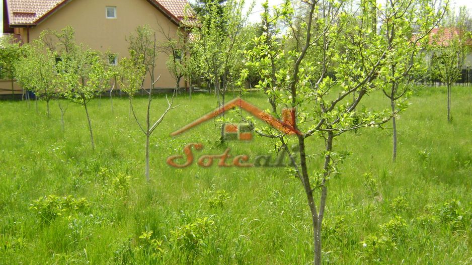 Teren de vanzare in Cornu 1183 mp - Poză 2